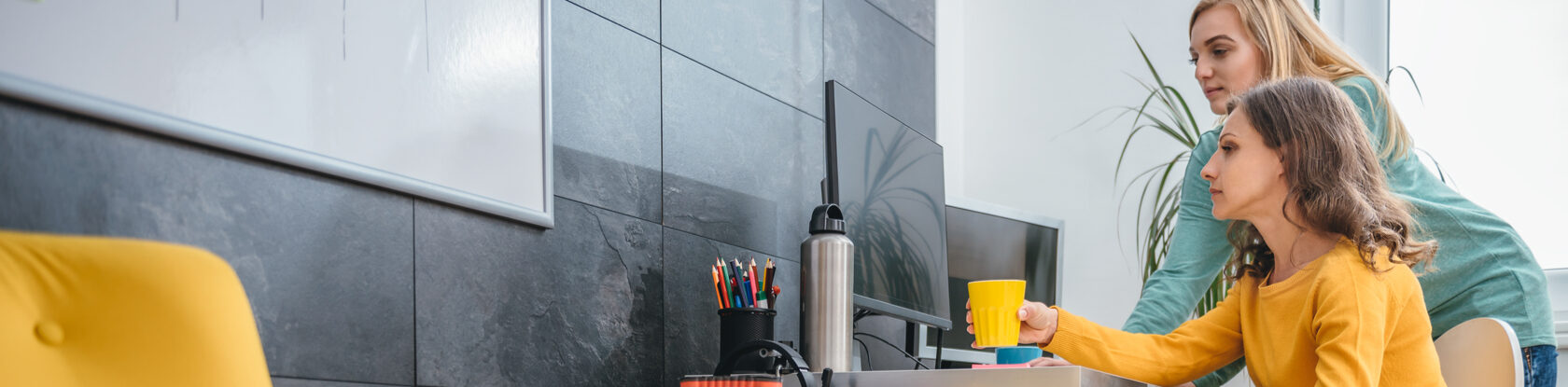 Centric Consulting process assessment